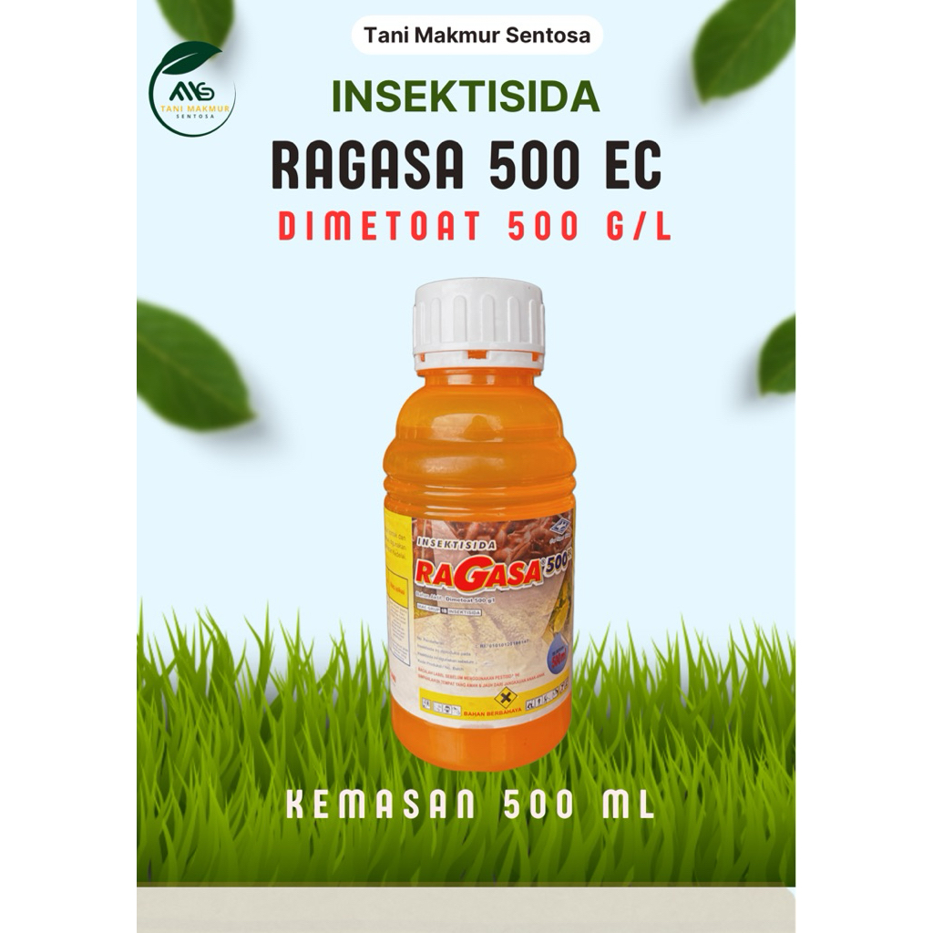 Insektisida Ragasa 500 Ec Dimetoat dari Bisi Kapal Terbang Mengatasi Kutu kutuan Lalat Buah