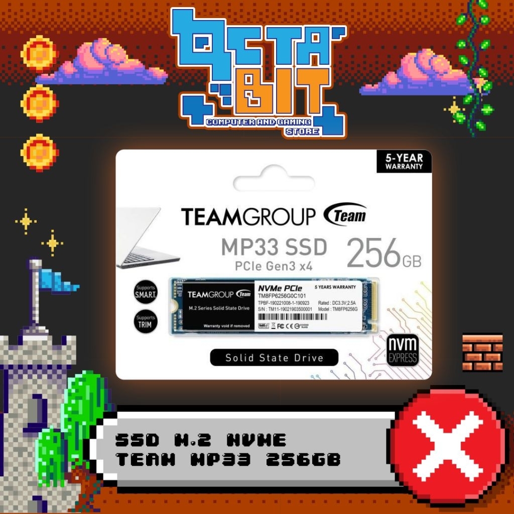 SSD TeamGroup Team Group MP33 256GB - SSD Internal M.2 NVMe PCIe Gen3