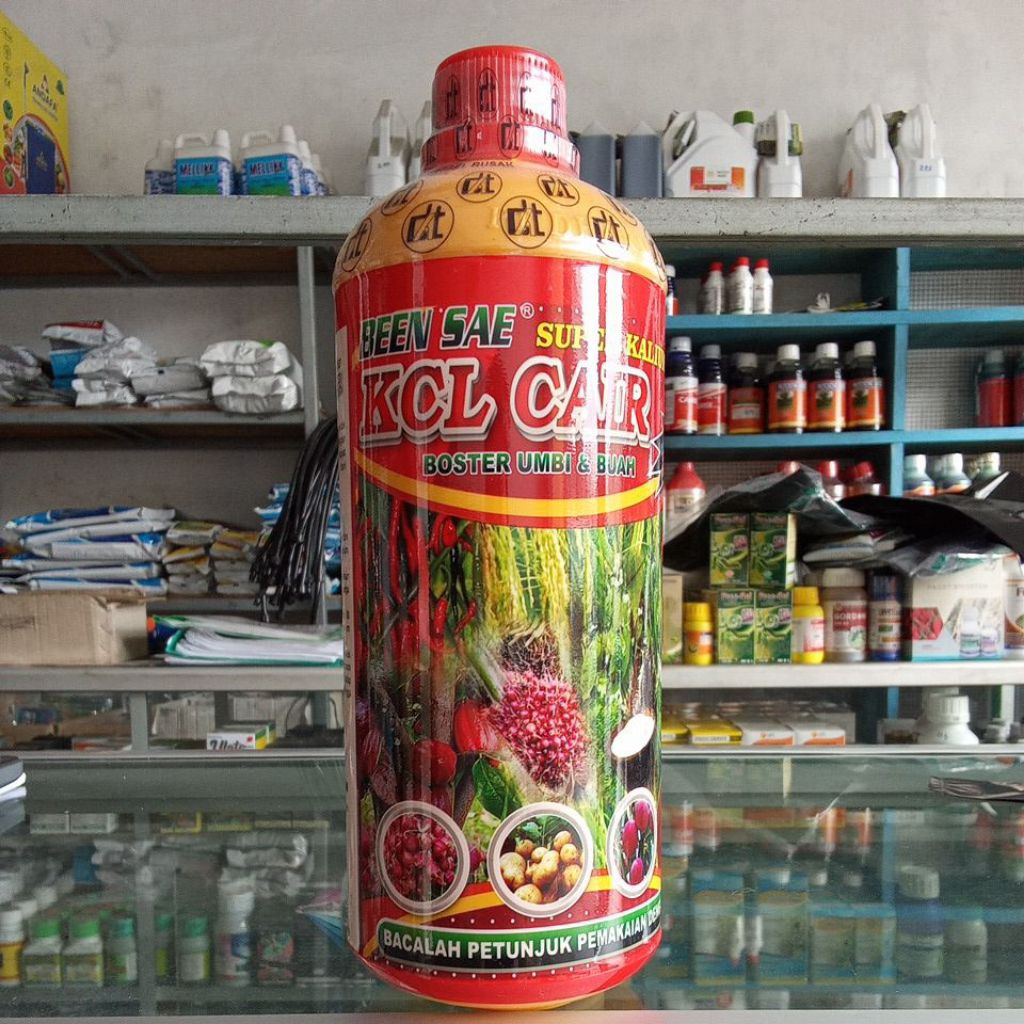 Pupuk KCL CAIR BEEN SAE Super Kalium Booster umbi dan buah plus ZPT & Boron 1ltr