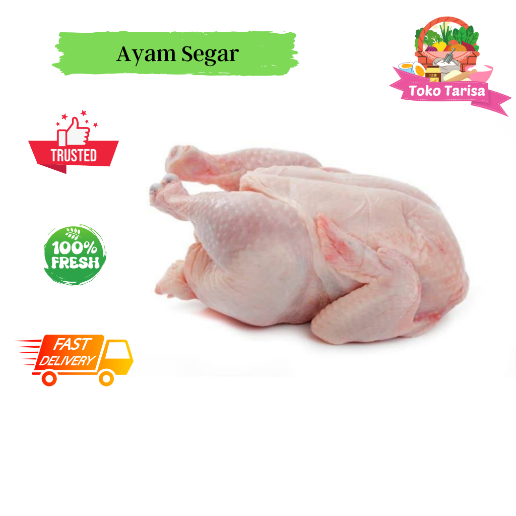 Ayam Potong| Ayam Utuh 1 Ekor