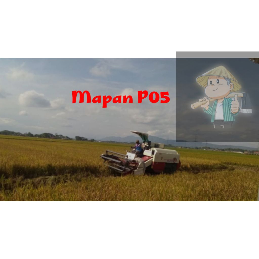 Benih padi unggulan tahan hama &rebah MAPAN05 kmasan5kg