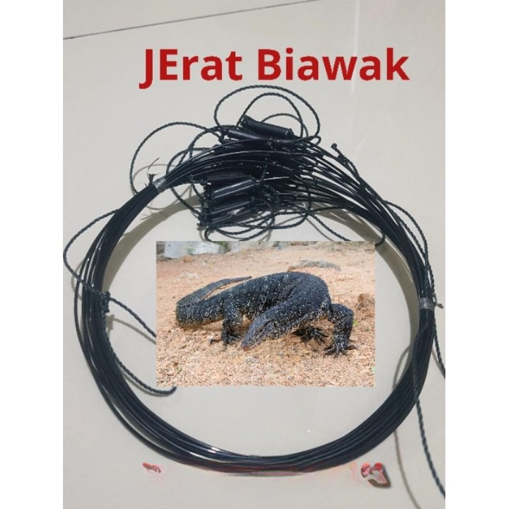 RACIK JERAT BIAWAK / PERANGKAP BIAWAK / JEBAKAN BIAWAK