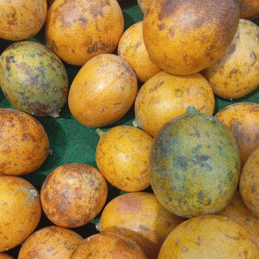 Markisa Buah Segar Fresh 1kg Denpasar Bali