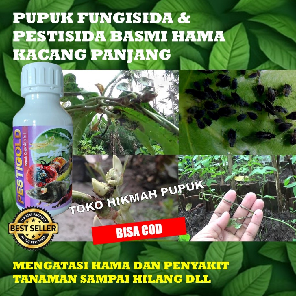 Pesti Gold Pestisida Alami 500ml Pembasmi Hama Kacang Panjang | Lindungi Tanaman dari Serangga & Ula