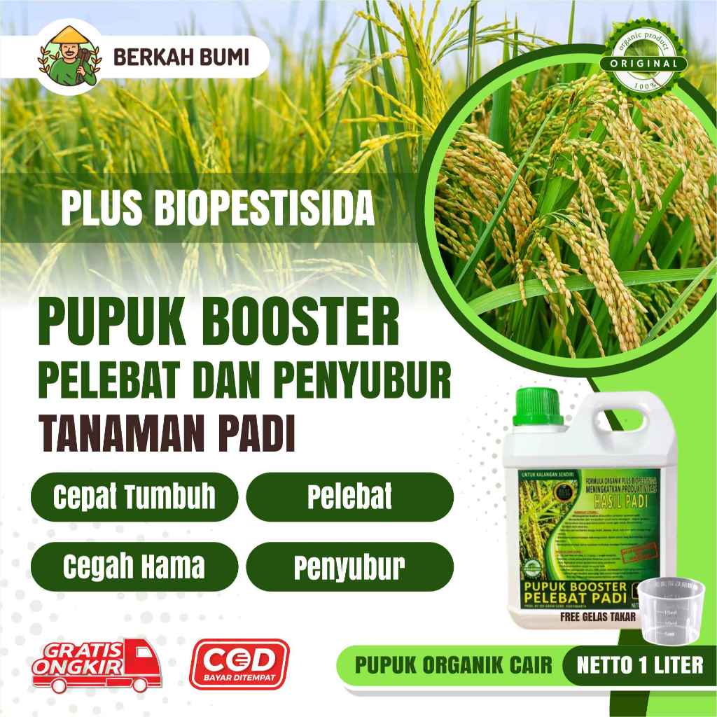 Pupuk Organik Cair Pelebat Penyubur PADI 1 Liter / Booster PADI / Pupuk Rabuk PADI 1 Liter Pupuk Boo