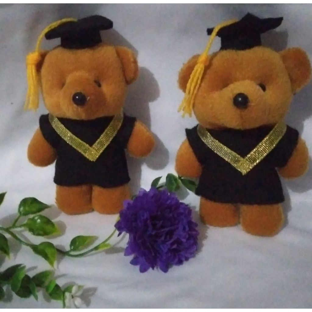 Boneka Wisuda Teddy Bear 13 Cm