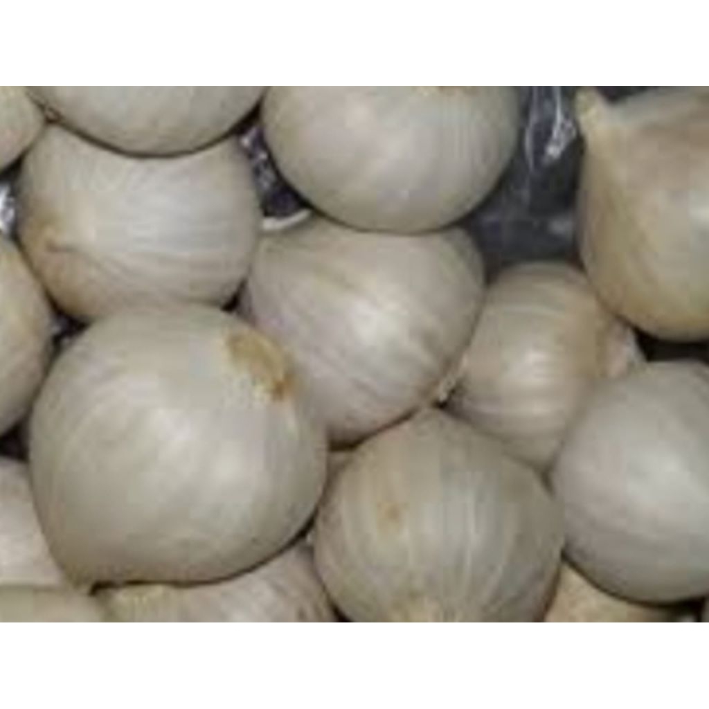 Bawang putih tunggal kesehatan / Bawang putih tunggal murah