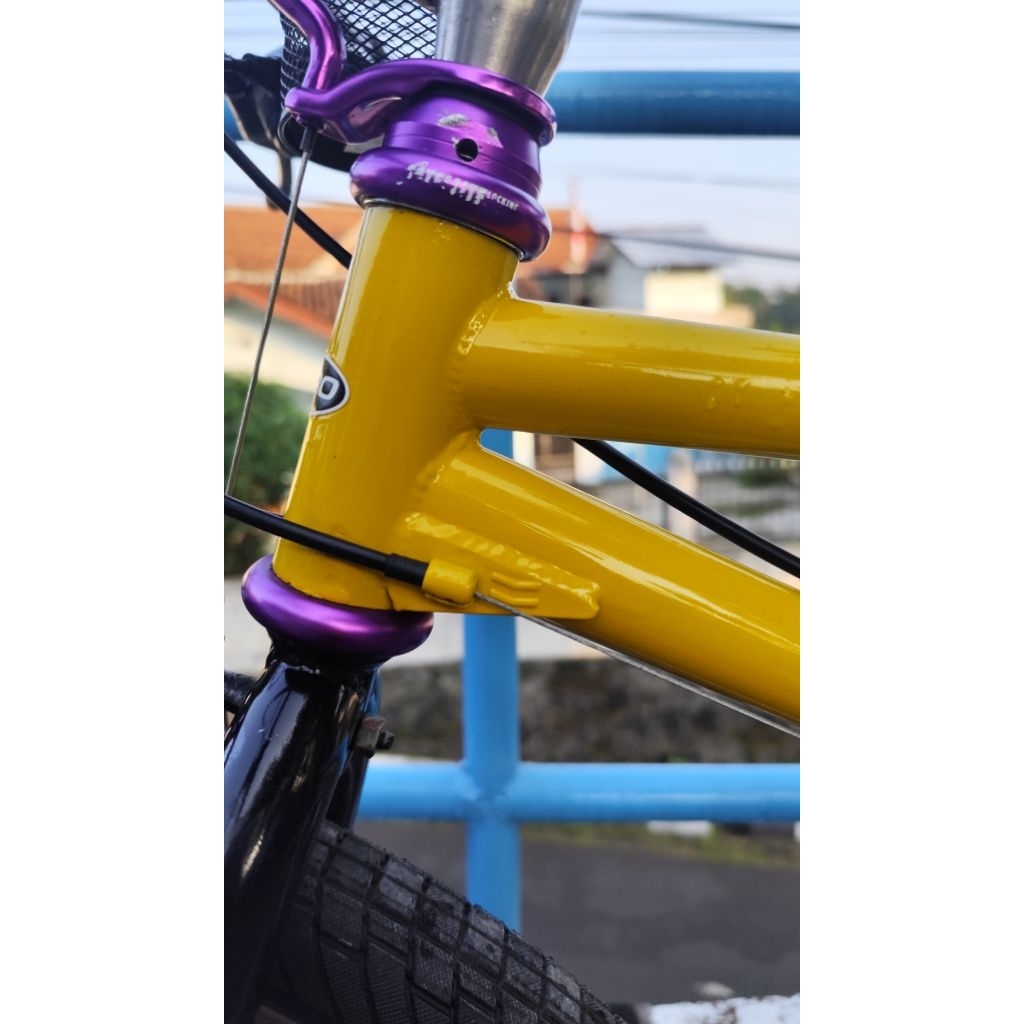 Frame Fork Haro Extreme elevated