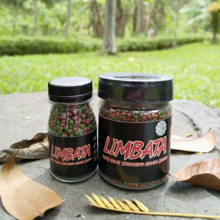 Pelet Limbata Super Color RKFish Aquatic Pakan Channa Limbata