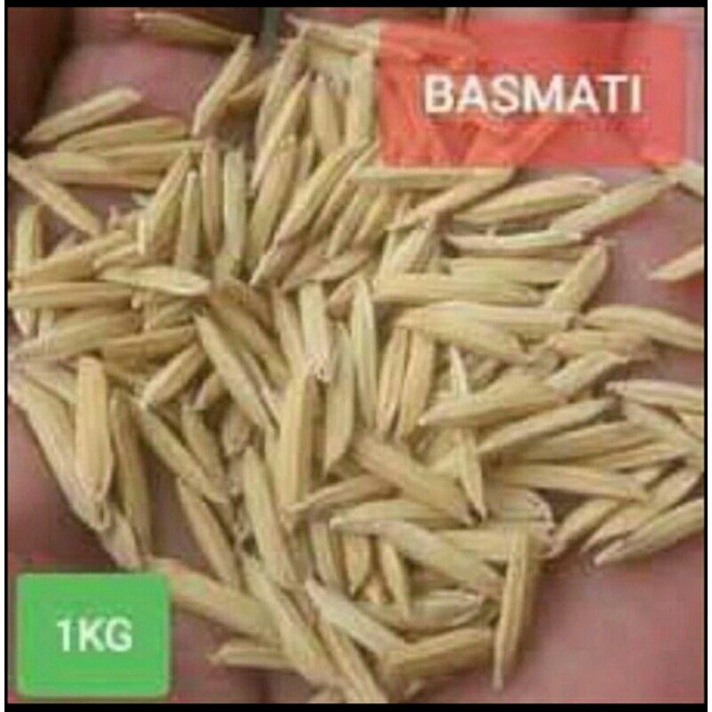 BENIH PADI BASMATI KEMASAN 1KG