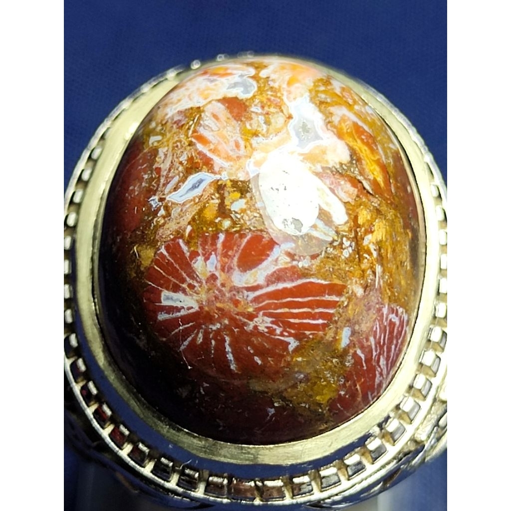 Natural Palm Petrified Wood, RED FLOWER / Batu Fosil Kayu Palem, BUNGA MERAH 2