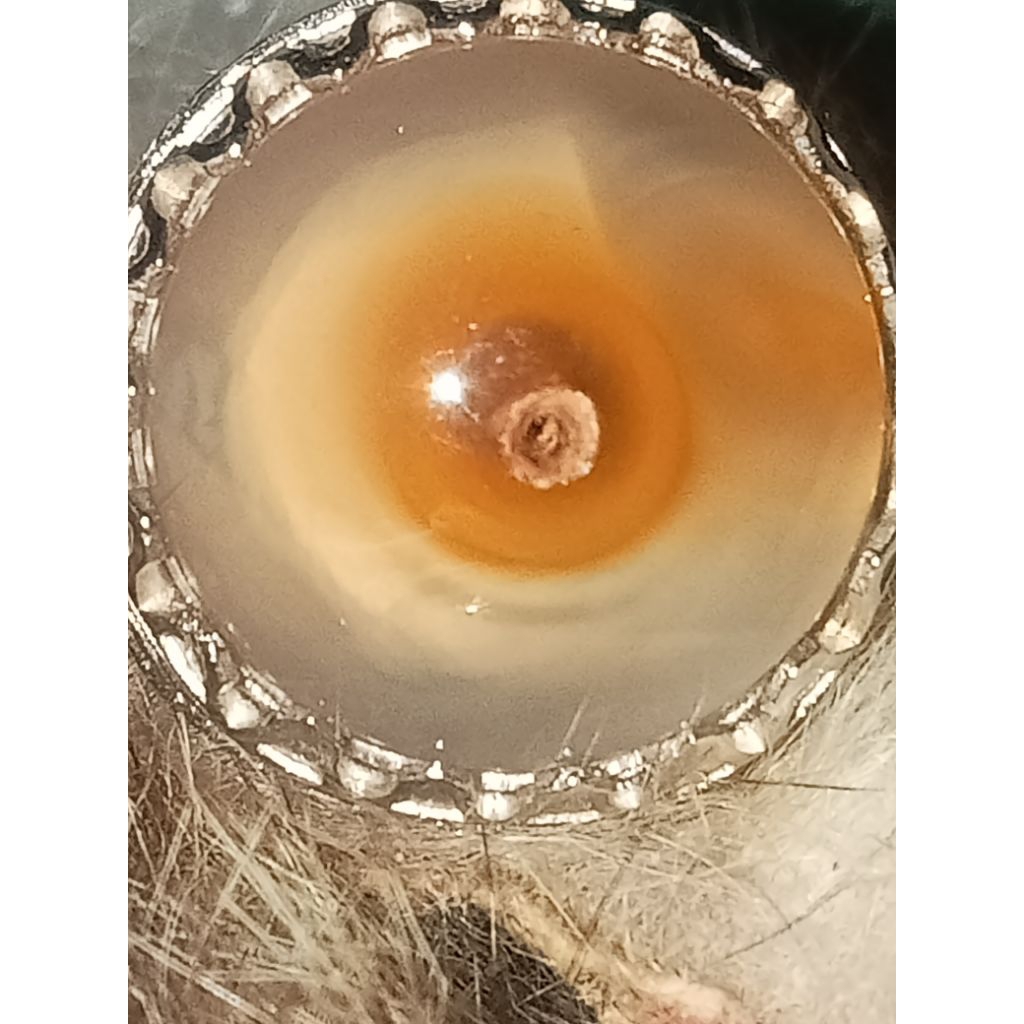 Natural batu mstka Combong serambut Nuswantoro Pamor Unik asyik