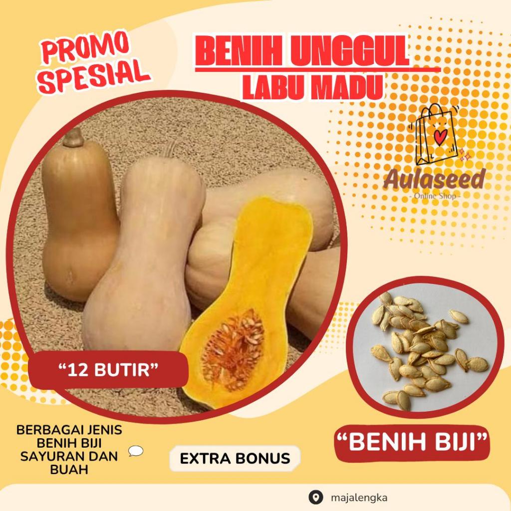 12 Butir > Benih Biji Labu Madu>Bibit Labu Madu