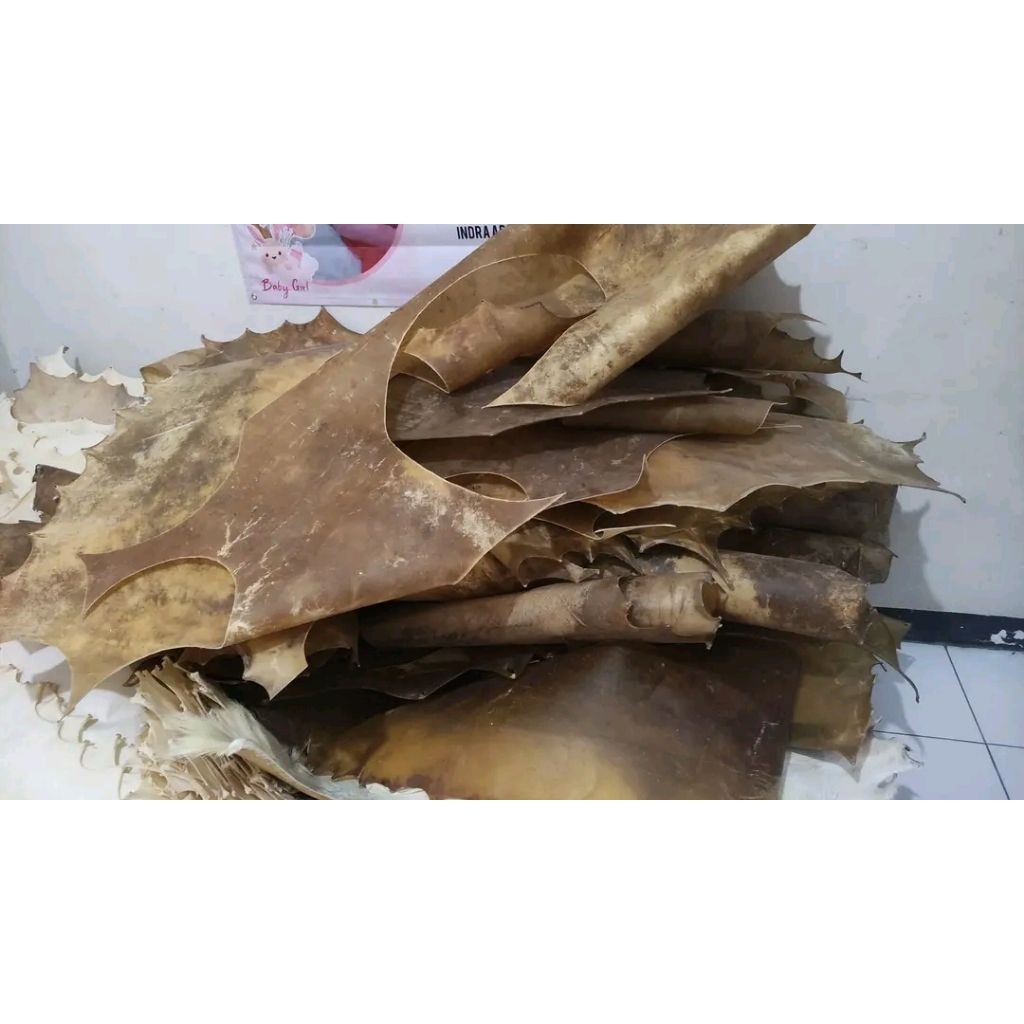 sisa potongan kulit sapi kering 1kg