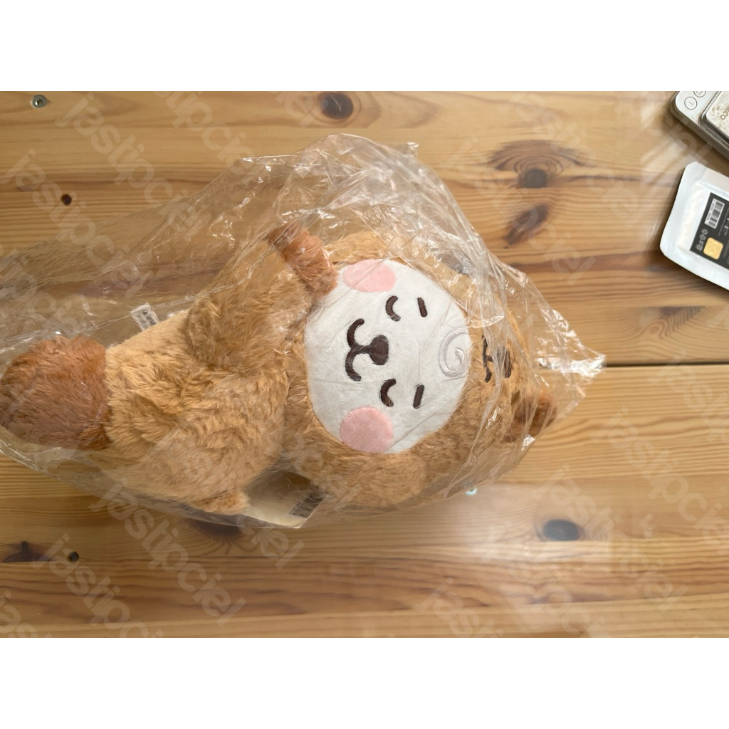 BT21 RJ Fluffy Lying Doll Official