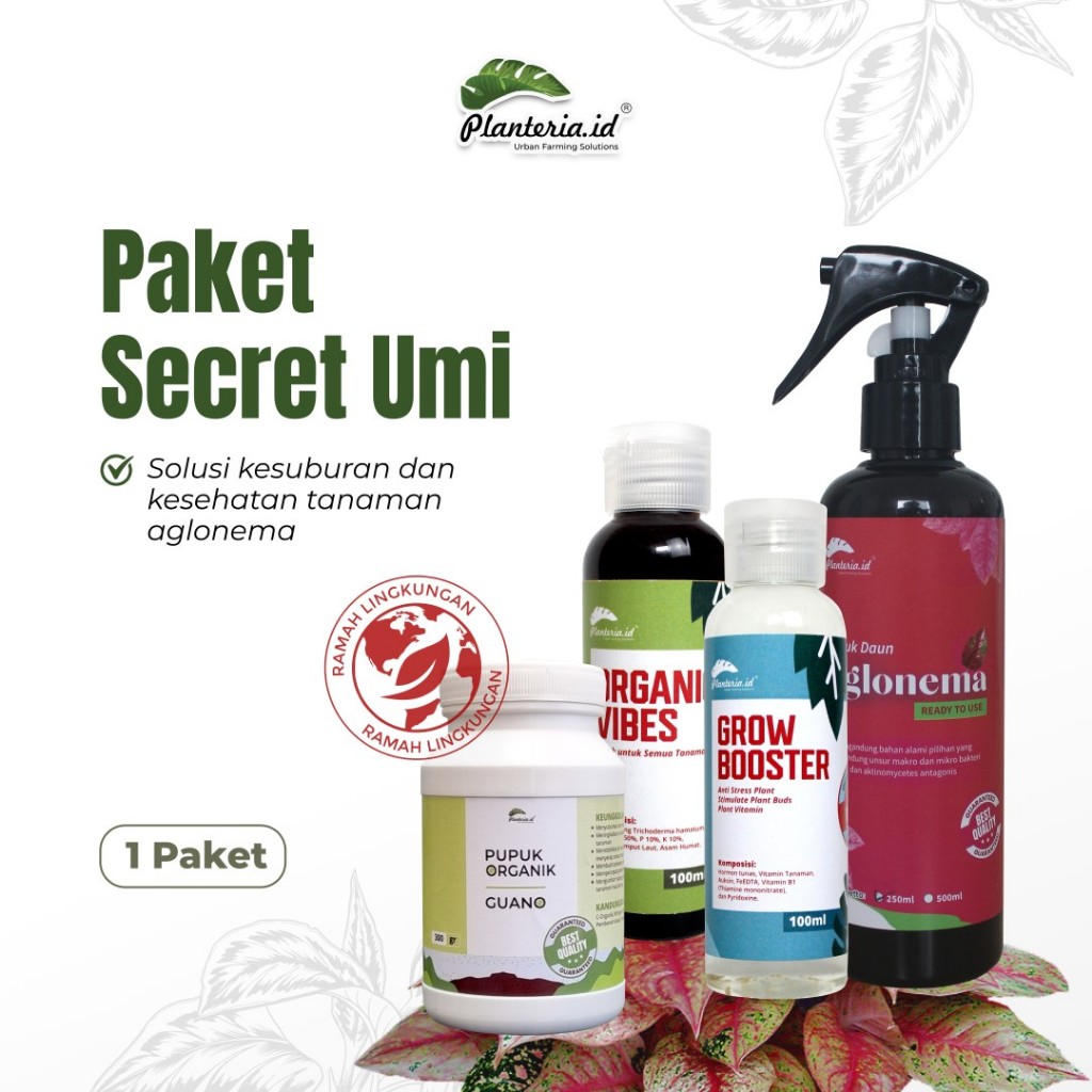 Planteria Paket secret garden of umi solusi Aglonema sehat dan subur by Planteria.id