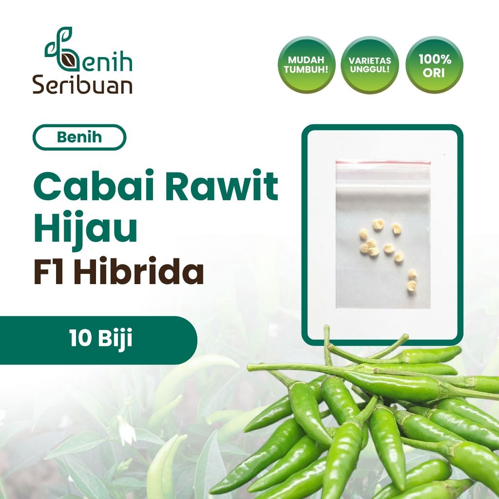 Benih Seribuan - 10 Benih Cabe Rawit Hijau F1 Hibrida
