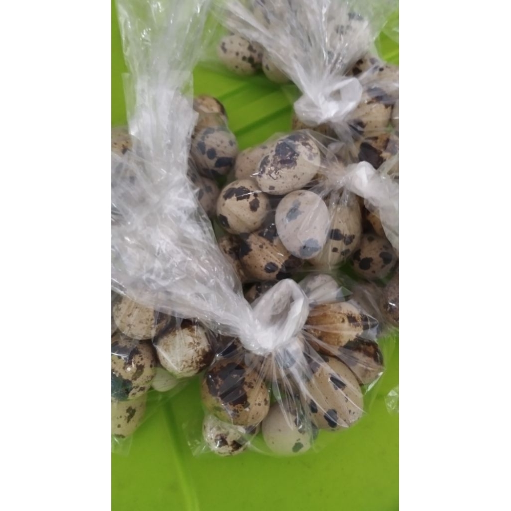 Telur puyuh mateng/mentah