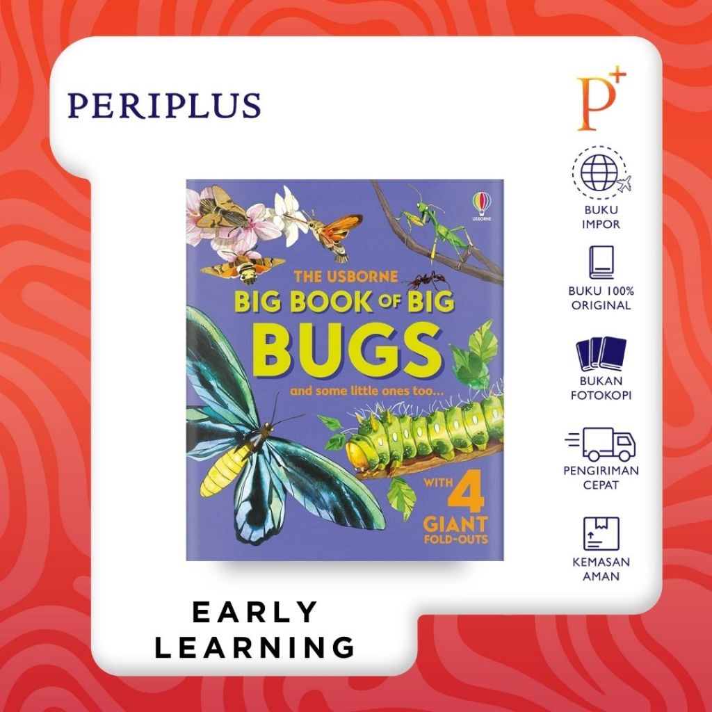 Big Book of Big Bugs - 9781836040255