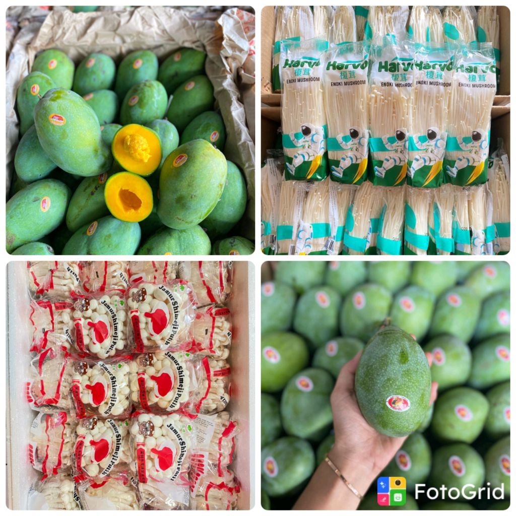 (SAWOJAJAR KOTA MALANG) MANGGA ALPUKAT, MANGGA HARUMANIS, MANGGA GADUNG, MANGGA MANALAGI, JAMUR SHIM