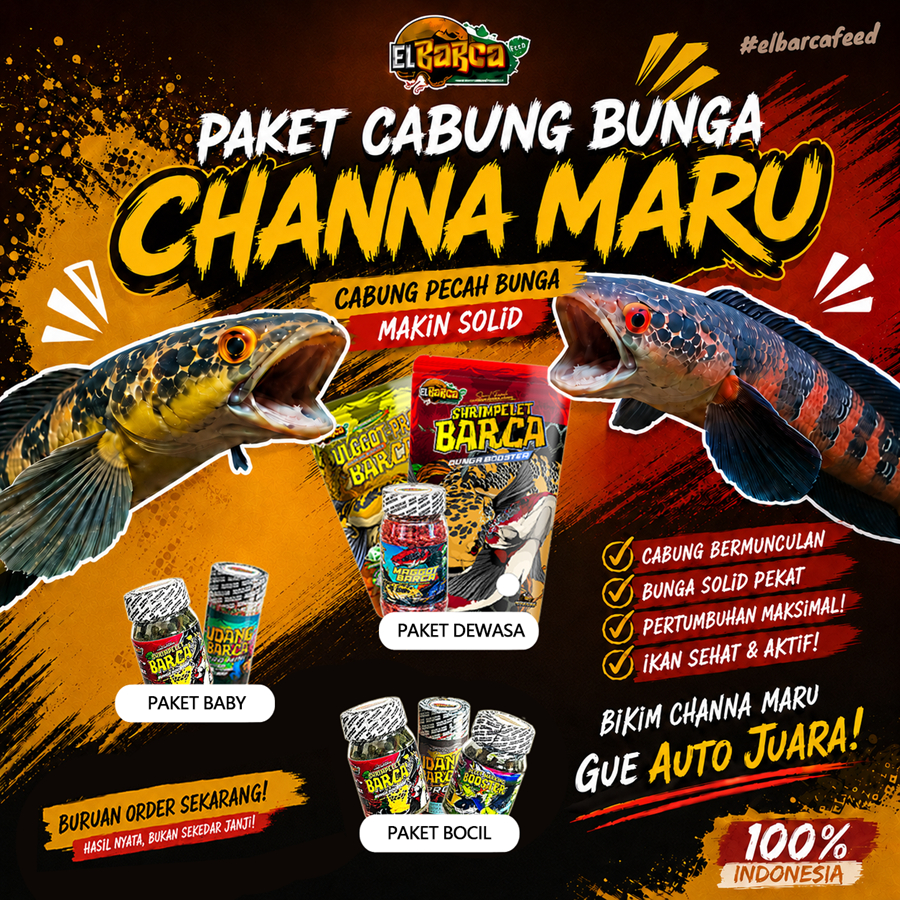 PAKET PAKAN PROGRESS BUNGA Channa Maru ys red pemecah Cabung & bunga solid xtra melanin guanin