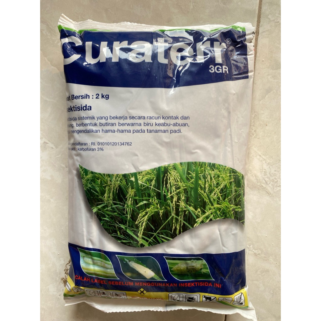 curater1KG