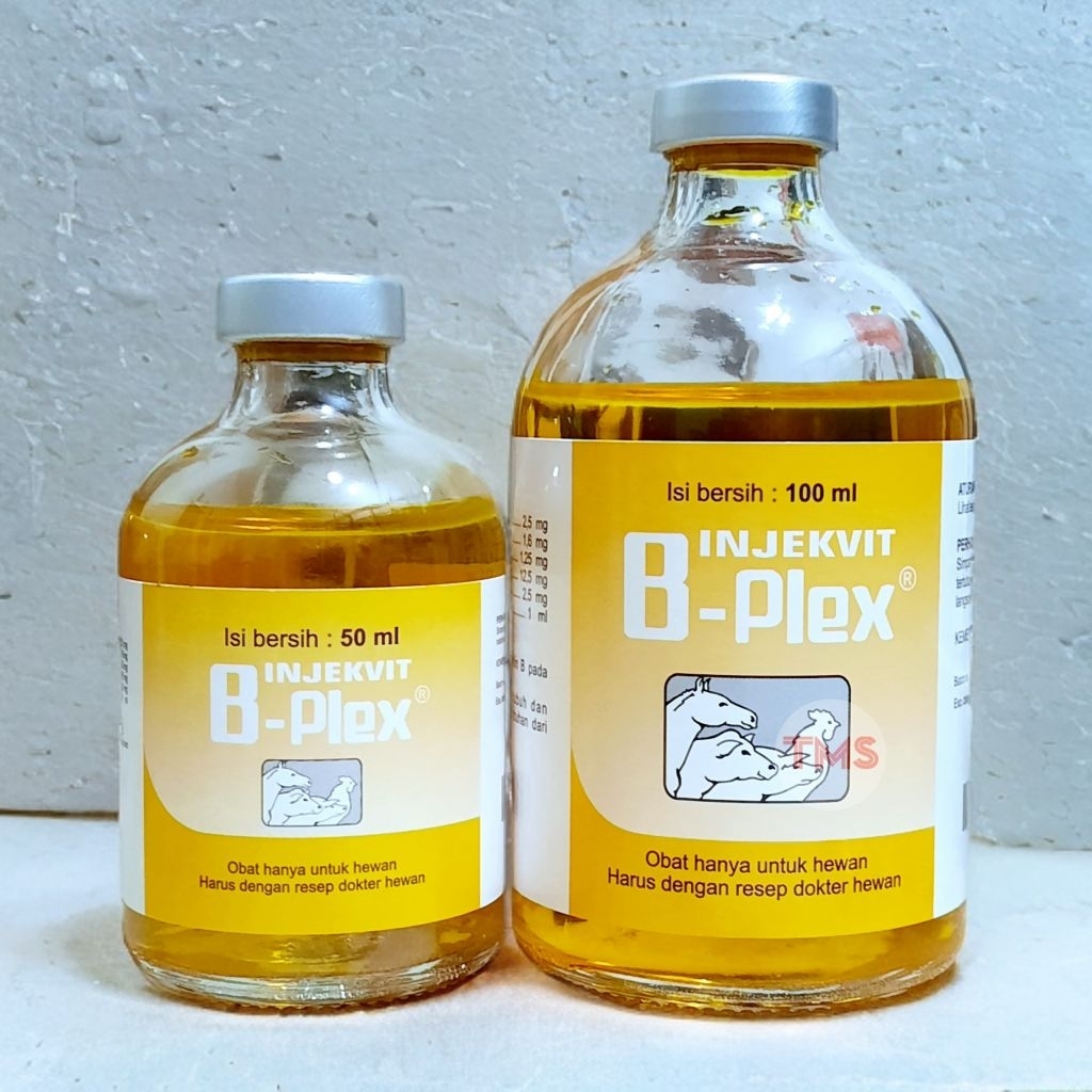 BPLEX 100 ML Injeksi Vitamin B Complex hewan Ternak