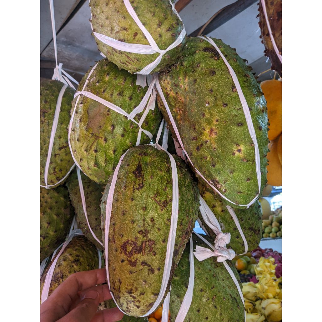 Buah sirsak perbuah