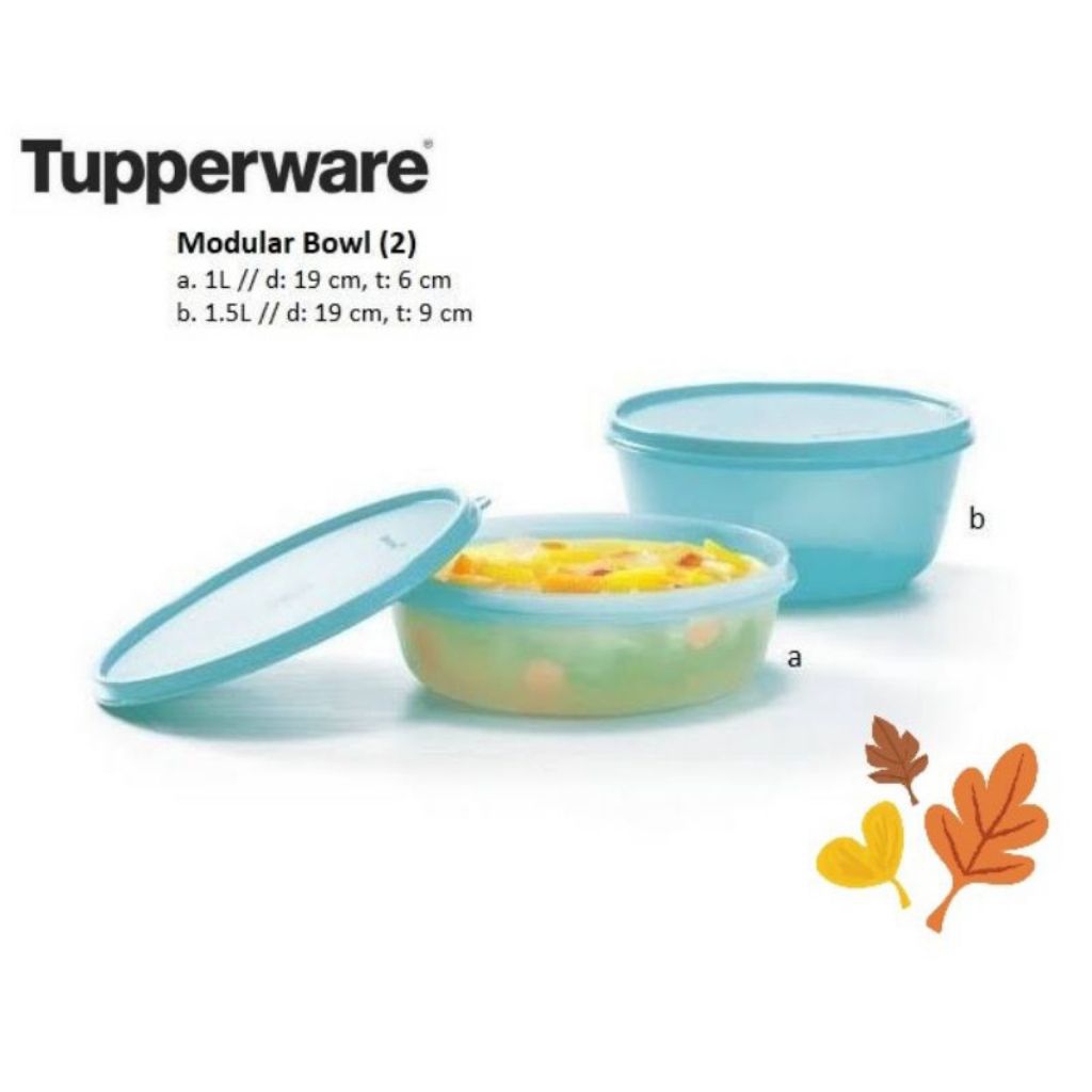 Modular Bowl Set Tupperware