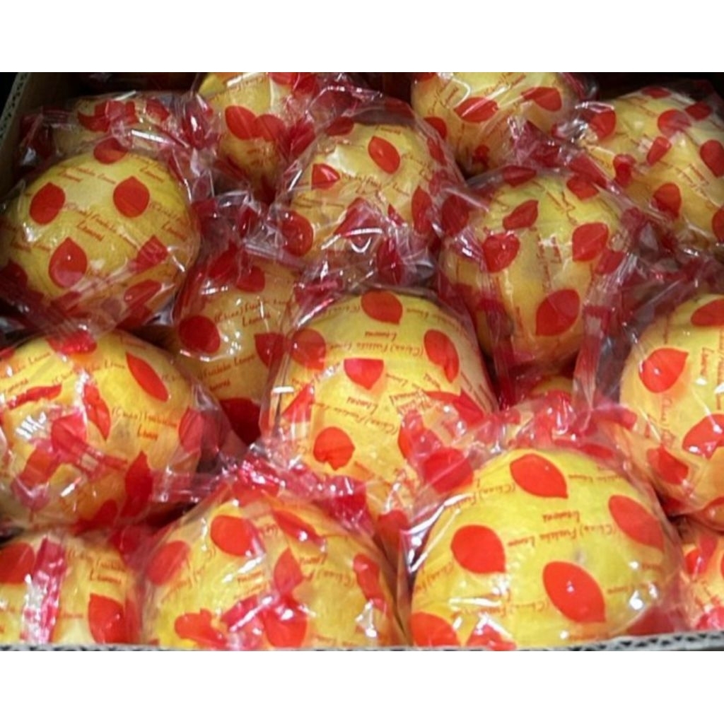 JERUK LEMON CINA 1 KG