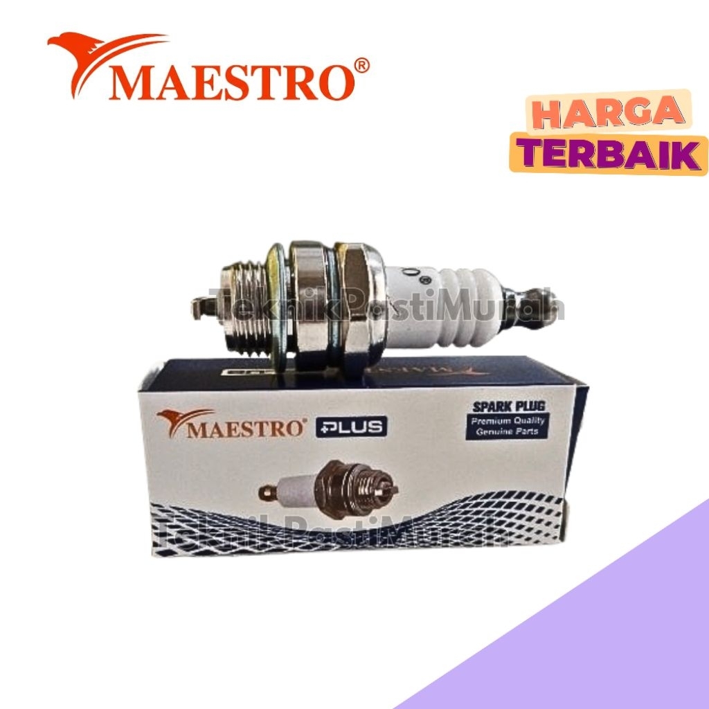 Busi chainsaw Maestro