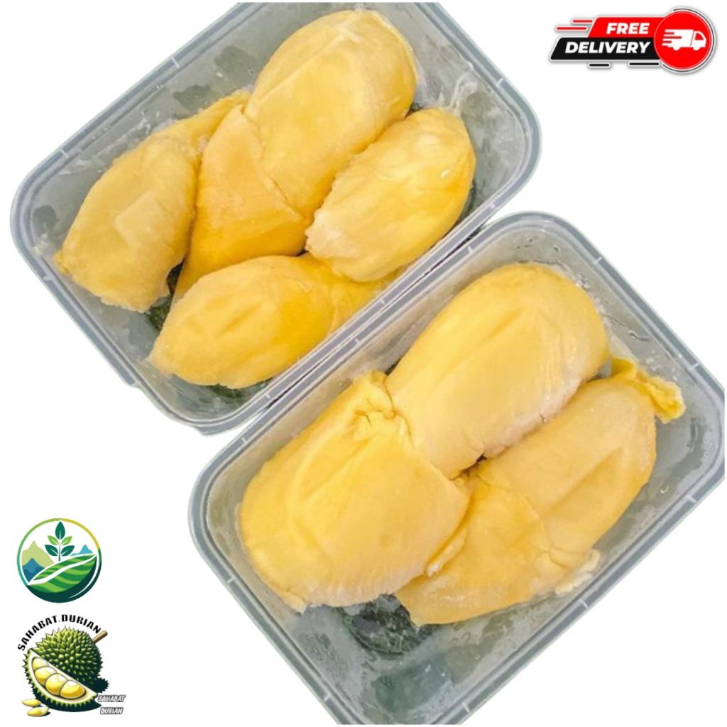 Durian montong | Durian montong kupas 500 gram | Durian montong manis legit