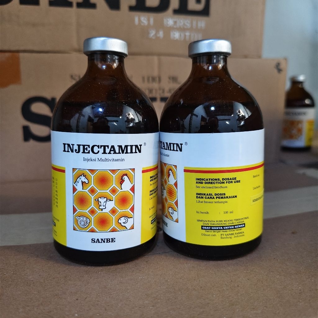 injectamin 100ml (multivitamin)