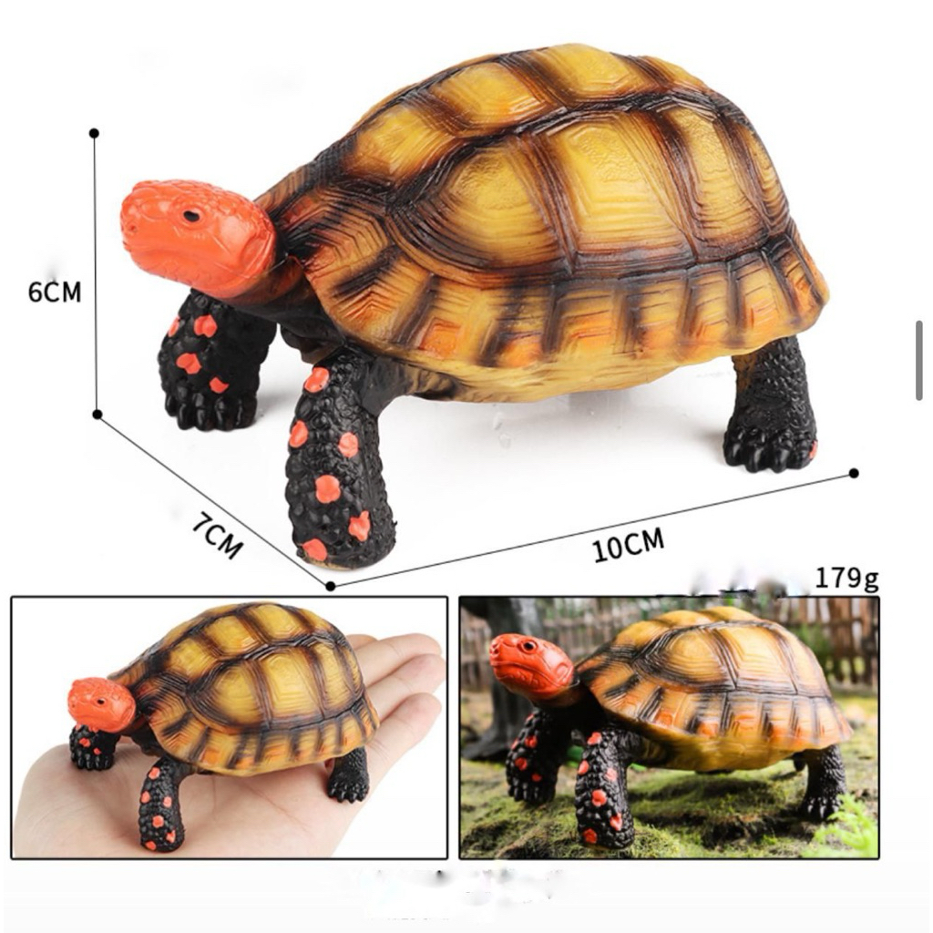 Kura kura mainan simulasi kura-kura pajangan sukata Labi-labi Bulus tortoise - koleksi miniatur aqua
