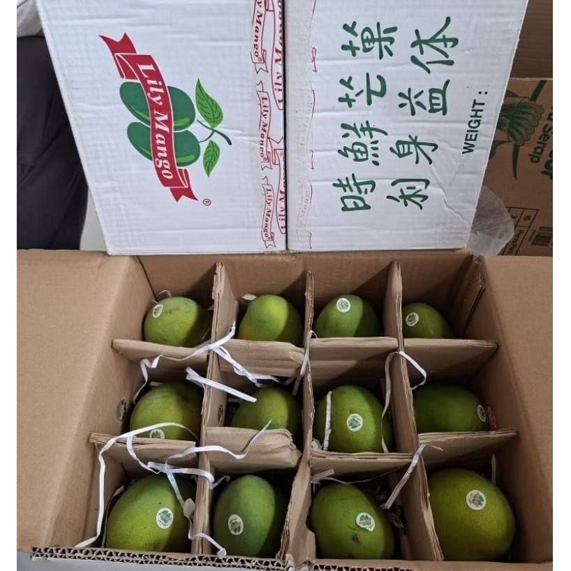 buah mangga harumanis Lily masak pohon / mangga suluhan / box 5.5kg