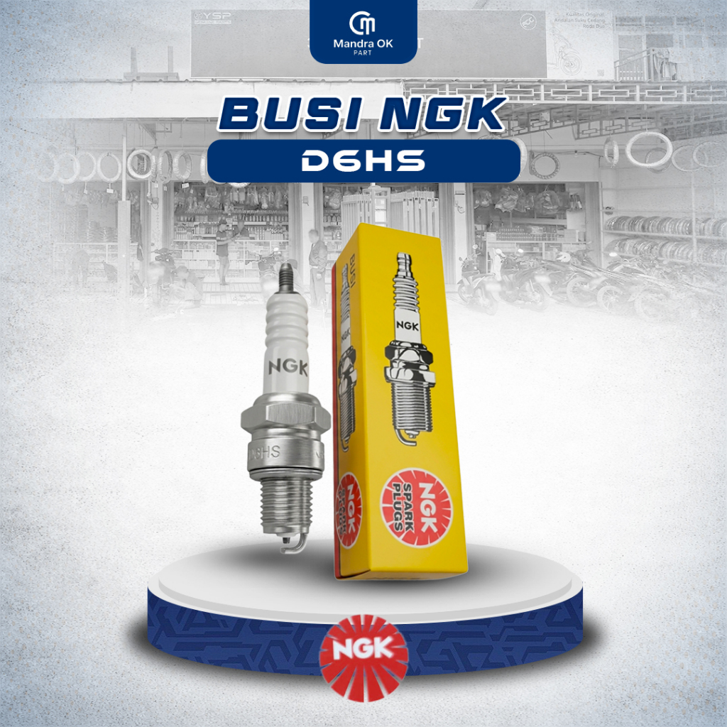 BUSI NGK D6HS