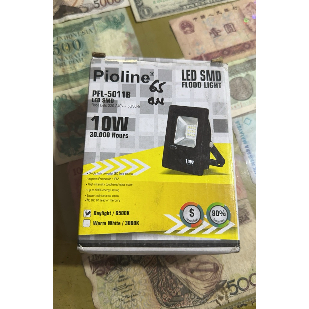 PIOLINE LED Flood Light 10W