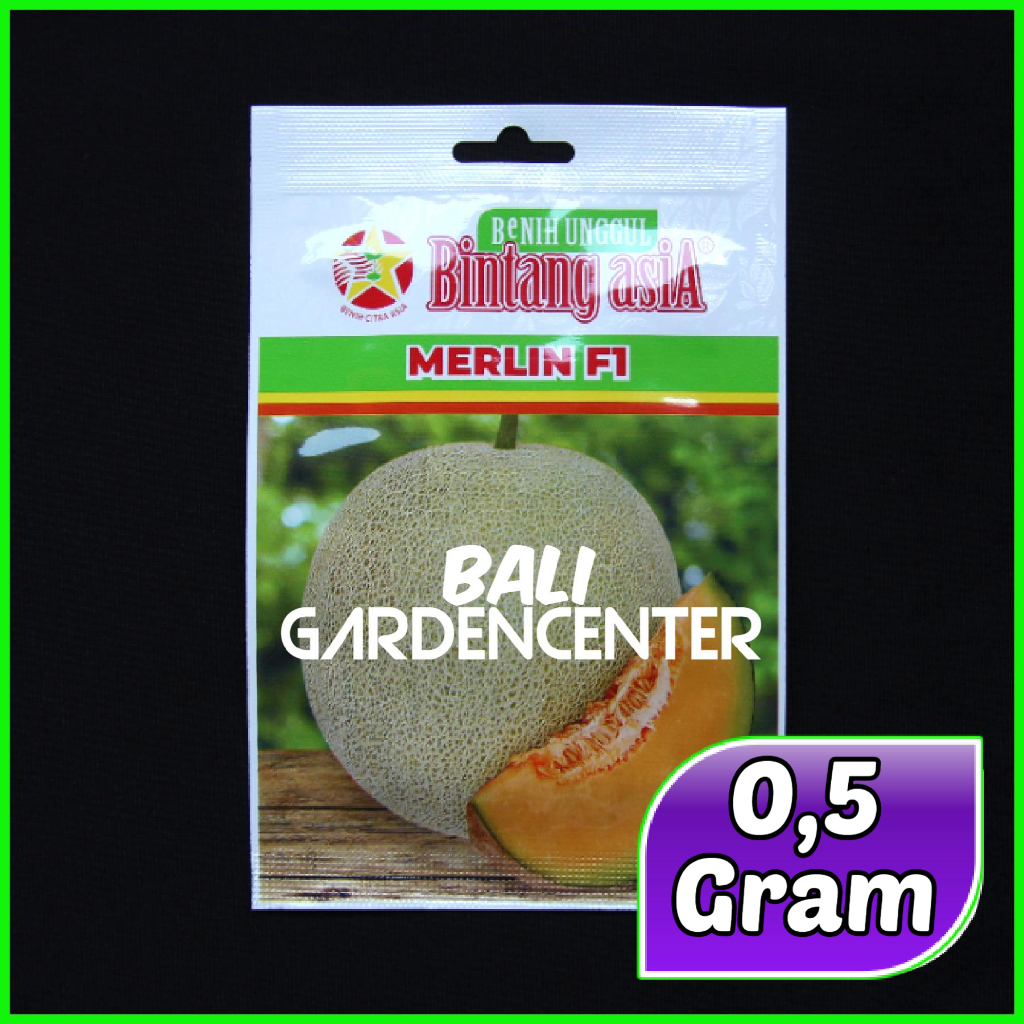Benih Biji Melon Orange MERLIN - Bintang Asia
