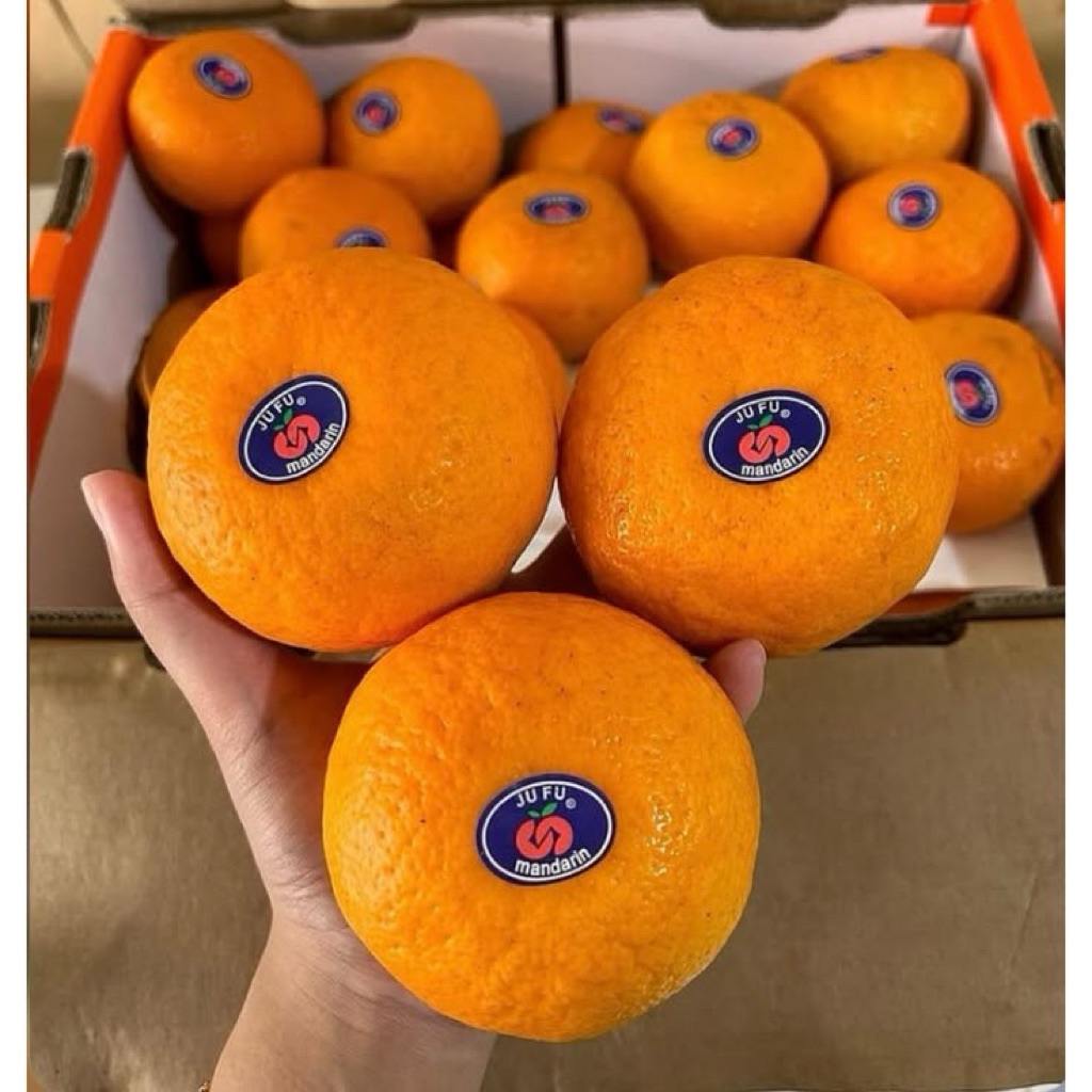 Buah Jeruk Mandarin WOGAN / Mandarin WOKAM Manis Fresh Premium