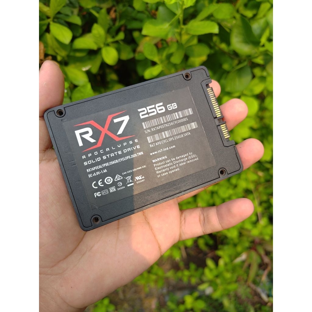 SSD SATA RX7 256GB