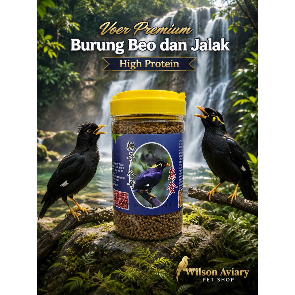 VOER PREMIUM PAKAN BURUNG BEO JALAK STARLING MYNA FOOD PAKAN BURUNG KICAU BEO HIGH PROTEIN AVR-YN-05