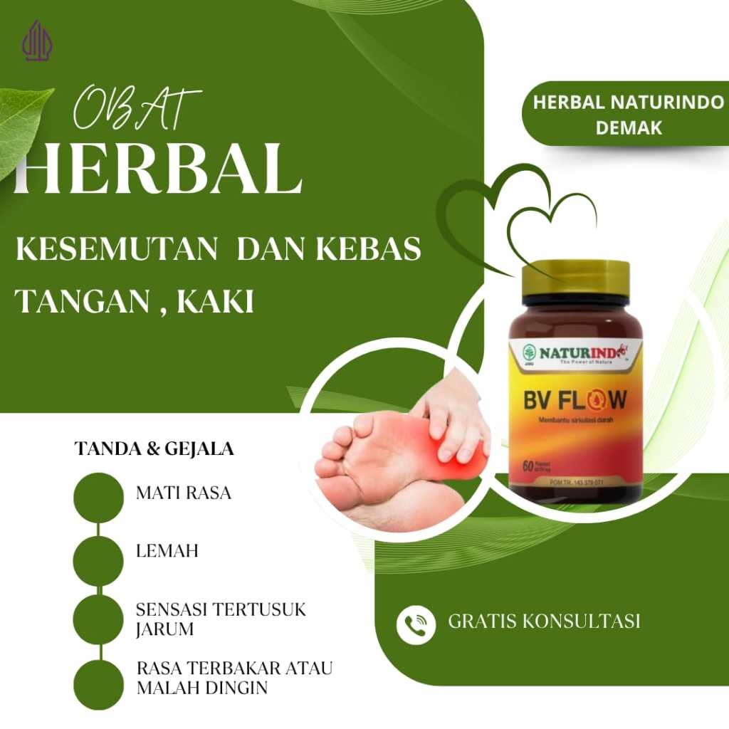 Obat herbal kesemutan dan kebas tangan,kaki