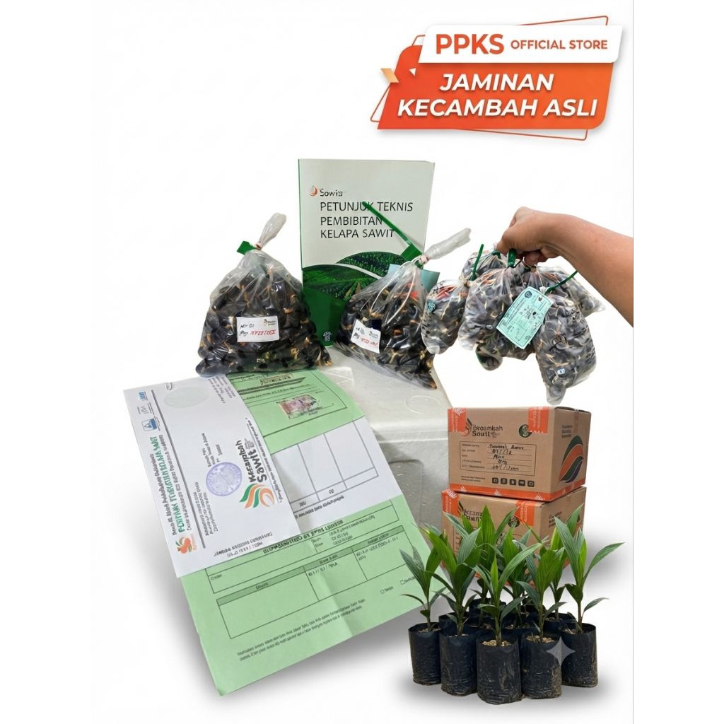 DxP PPKS yangambi