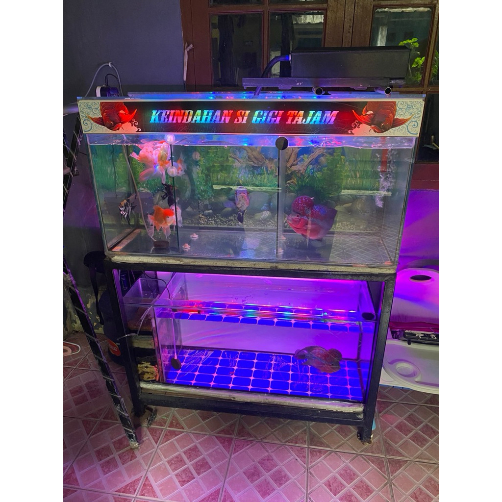 Aquarium 2 tingkat