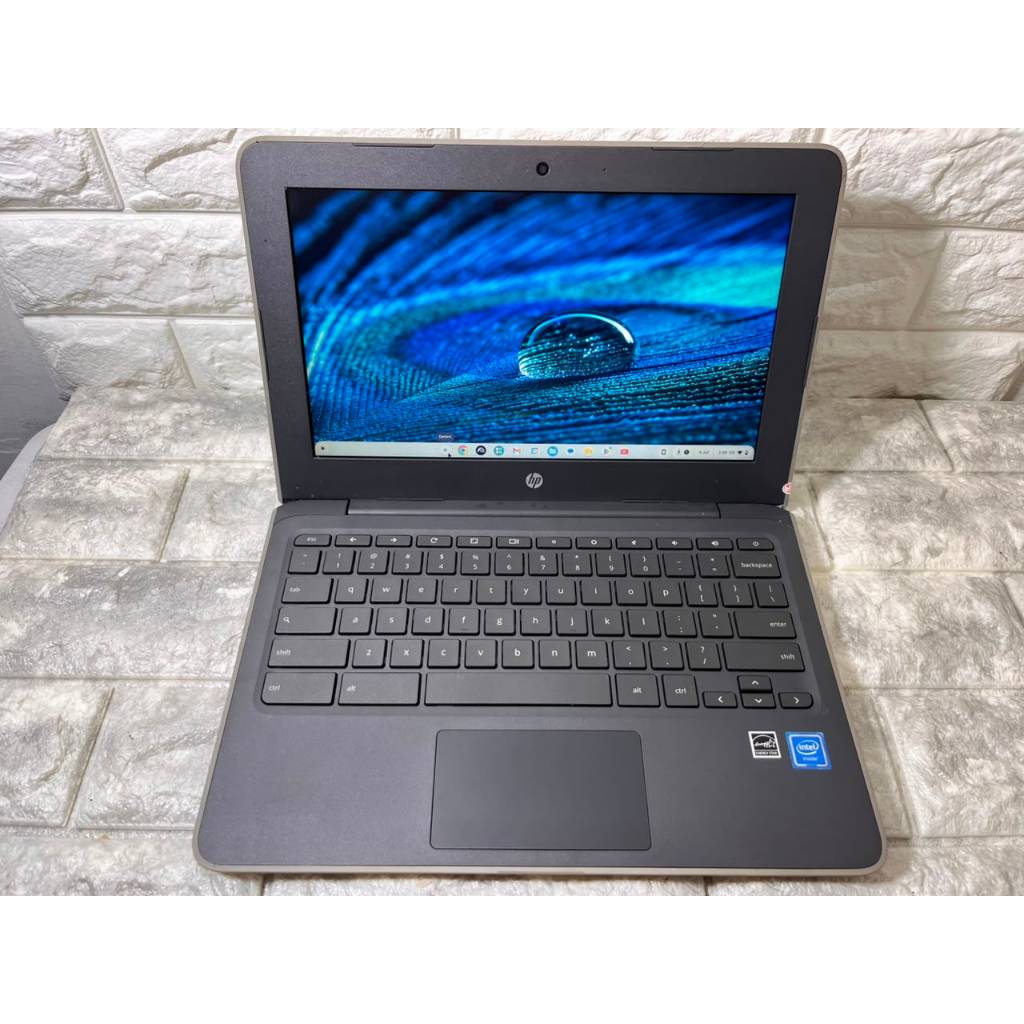 Laptop bekas hp chromebook 11g7ee