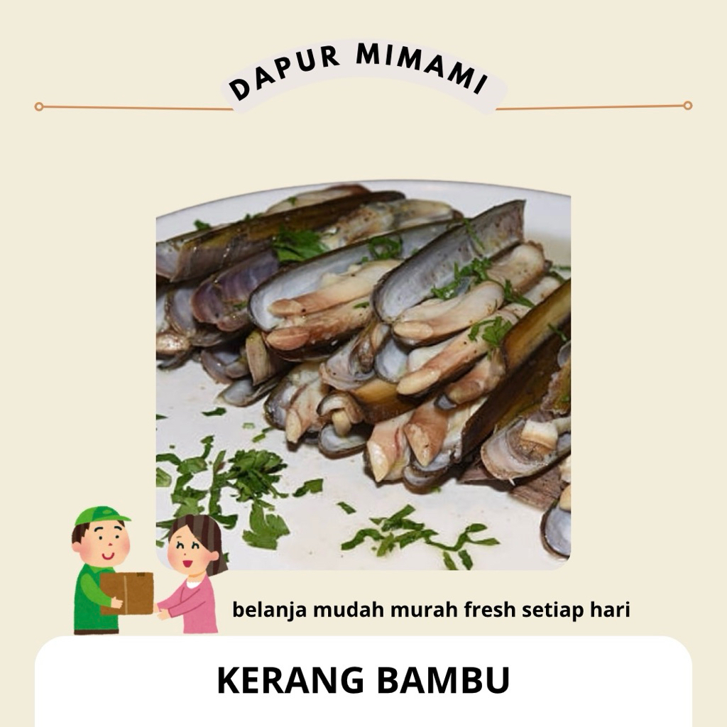 Kerang Bambu Segar KIRIM BESOK