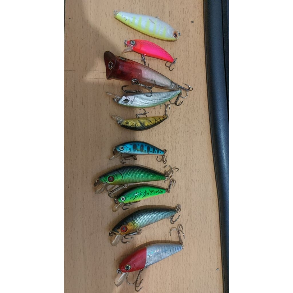 lure minnow sinking dan wtd