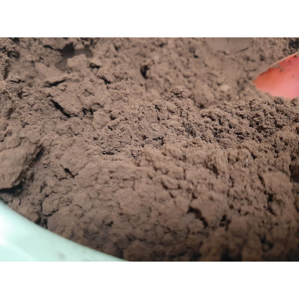 KOPI ROBUSTA ASLI PAGAR ALAM