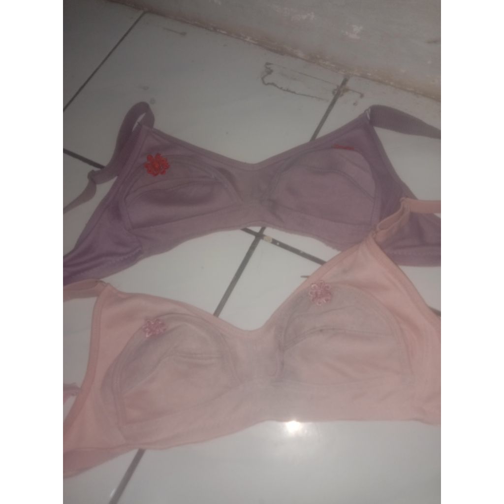 BH busui