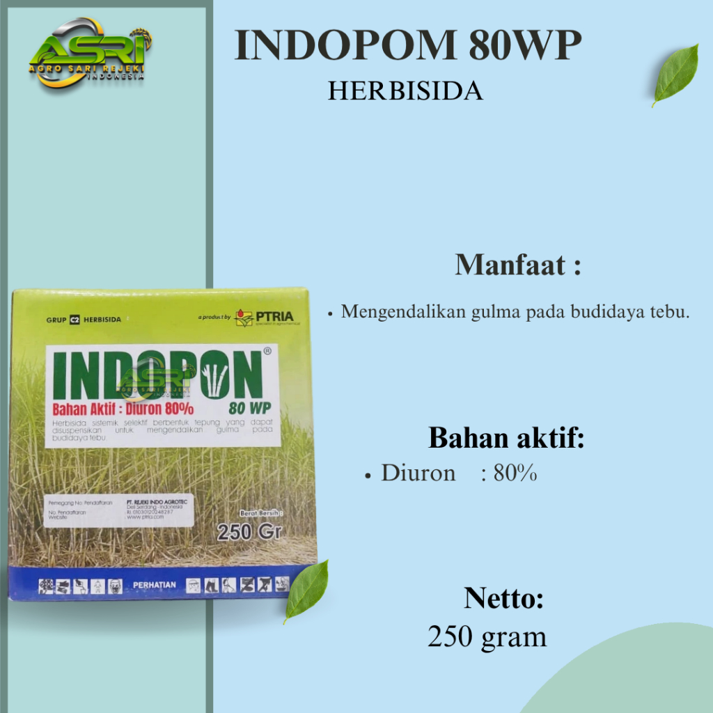 INDOPON 80WP 250gram HERBISIDA DIURON